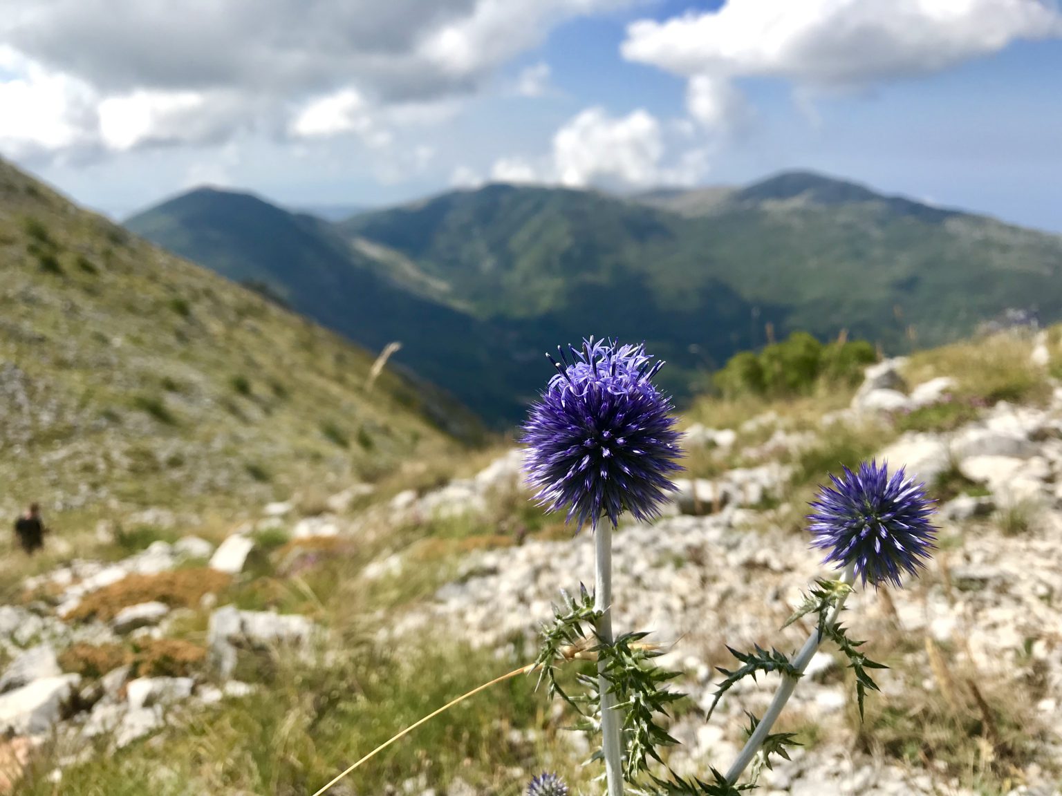 93A938CC-AFE1-40E5-A5C2-12503F9F3E19-jo0m563r-1536×1152